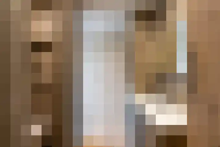 Dorpsstraat 78 Krimpen aan de Lek thumbnail 26
