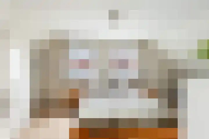 Dorpsstraat 78 Krimpen aan de Lek thumbnail 29