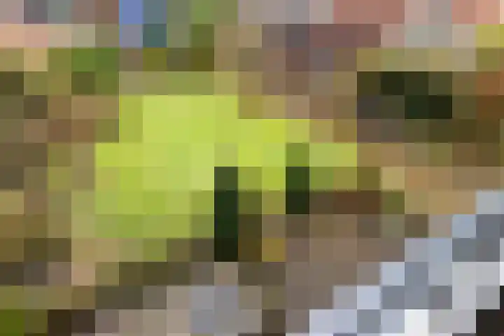 Dorpsstraat 78 Krimpen aan de Lek thumbnail 39
