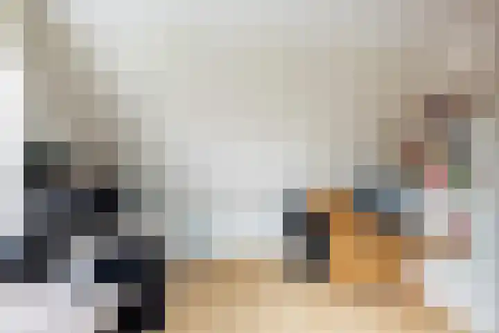 Dorpsstraat 78 Krimpen aan de Lek thumbnail 46