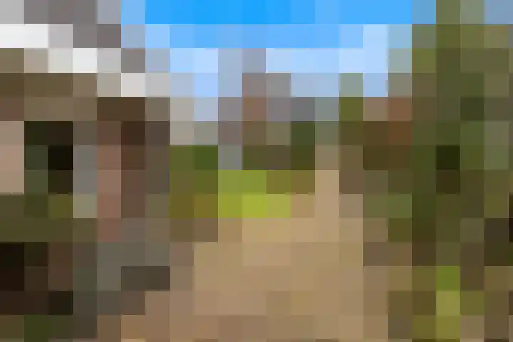 Dorpsstraat 78 Krimpen aan de Lek thumbnail 57