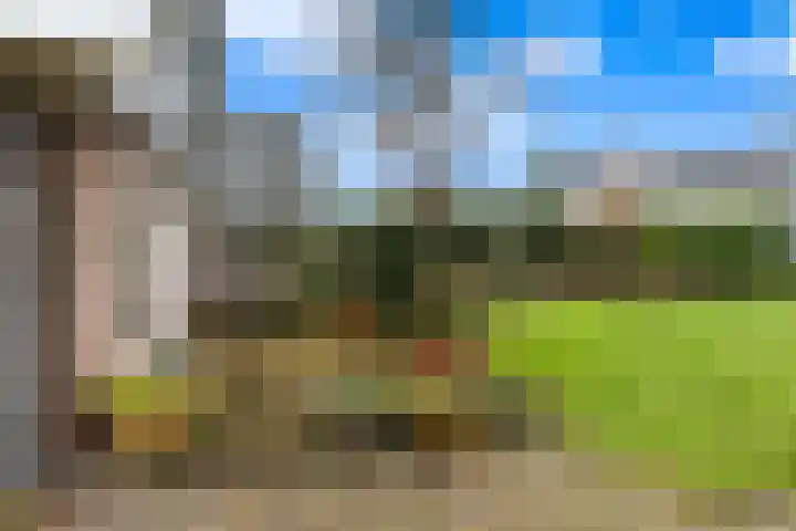 Dorpsstraat 78 Krimpen aan de Lek thumbnail 58