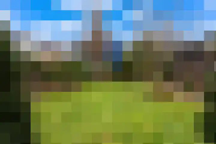 Dorpsstraat 78 Krimpen aan de Lek thumbnail 59