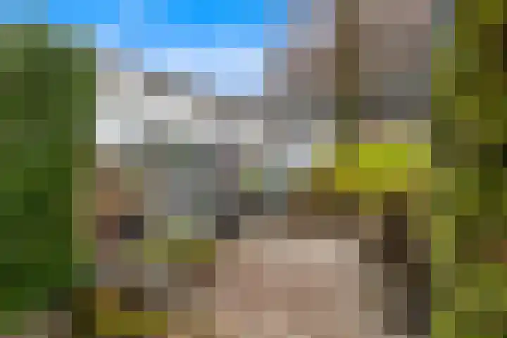 Dorpsstraat 78 Krimpen aan de Lek thumbnail 61