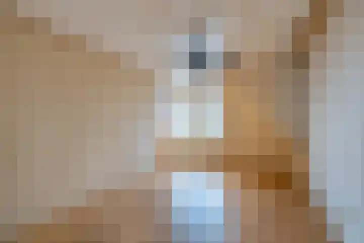 Dorpsstraat 780 Assendelft thumbnail 28