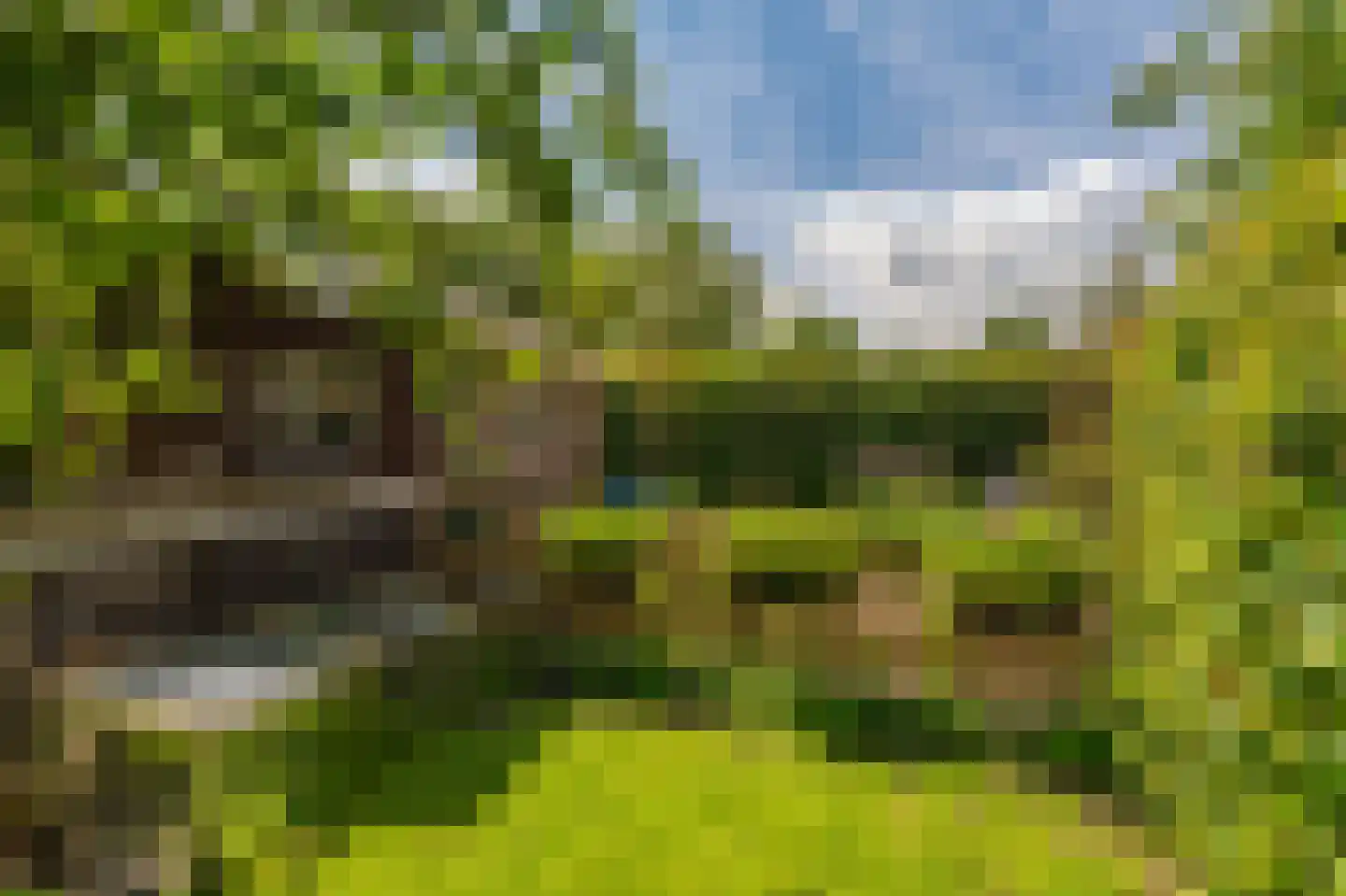 Dorpsstraat 79 Onstwedde thumbnail 12