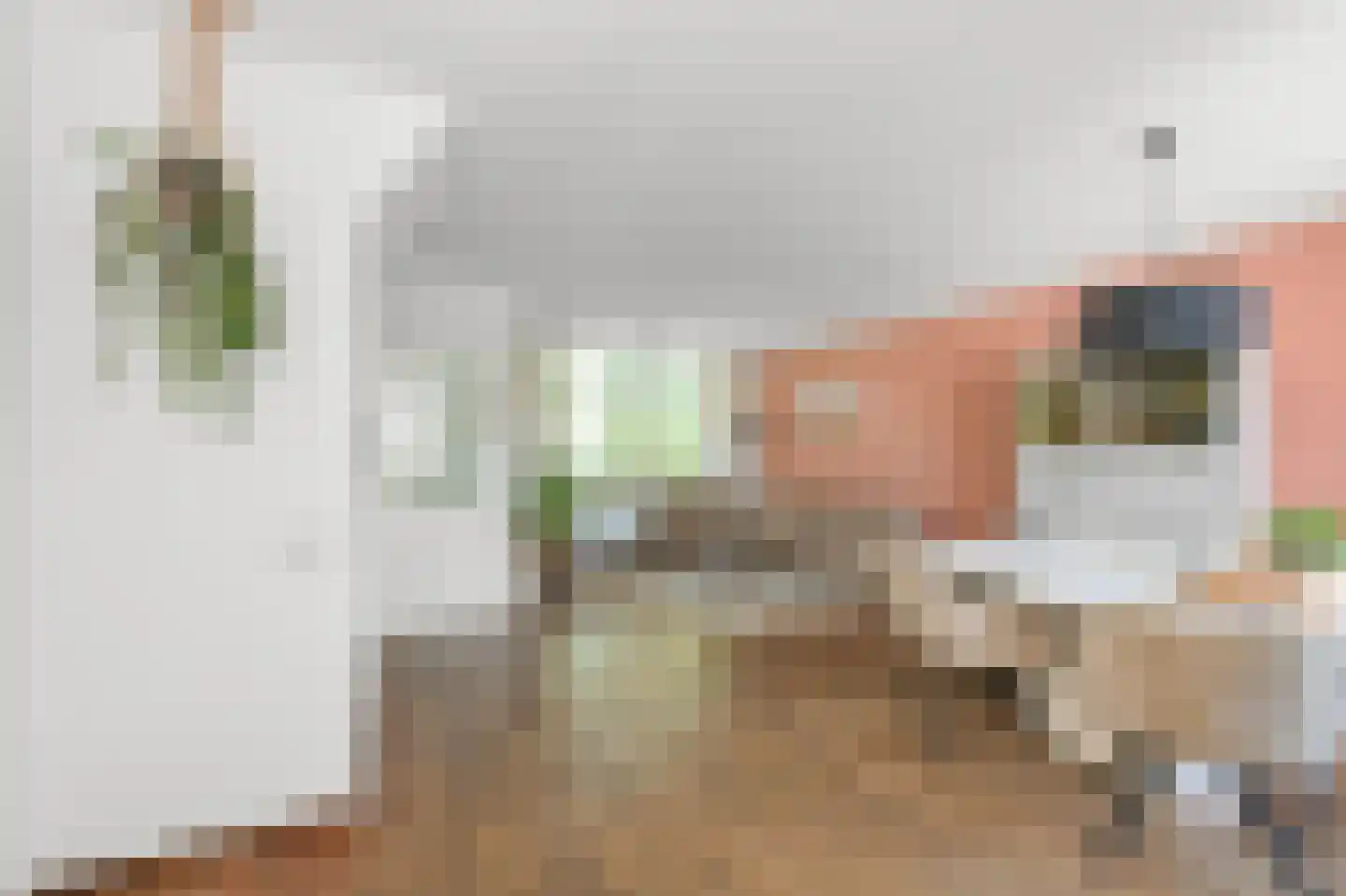 Dorpsstraat 798 Assendelft thumbnail 20