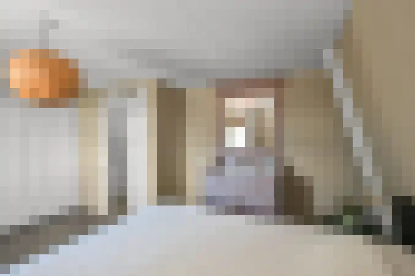 Dorpsstraat 798 Assendelft thumbnail 33