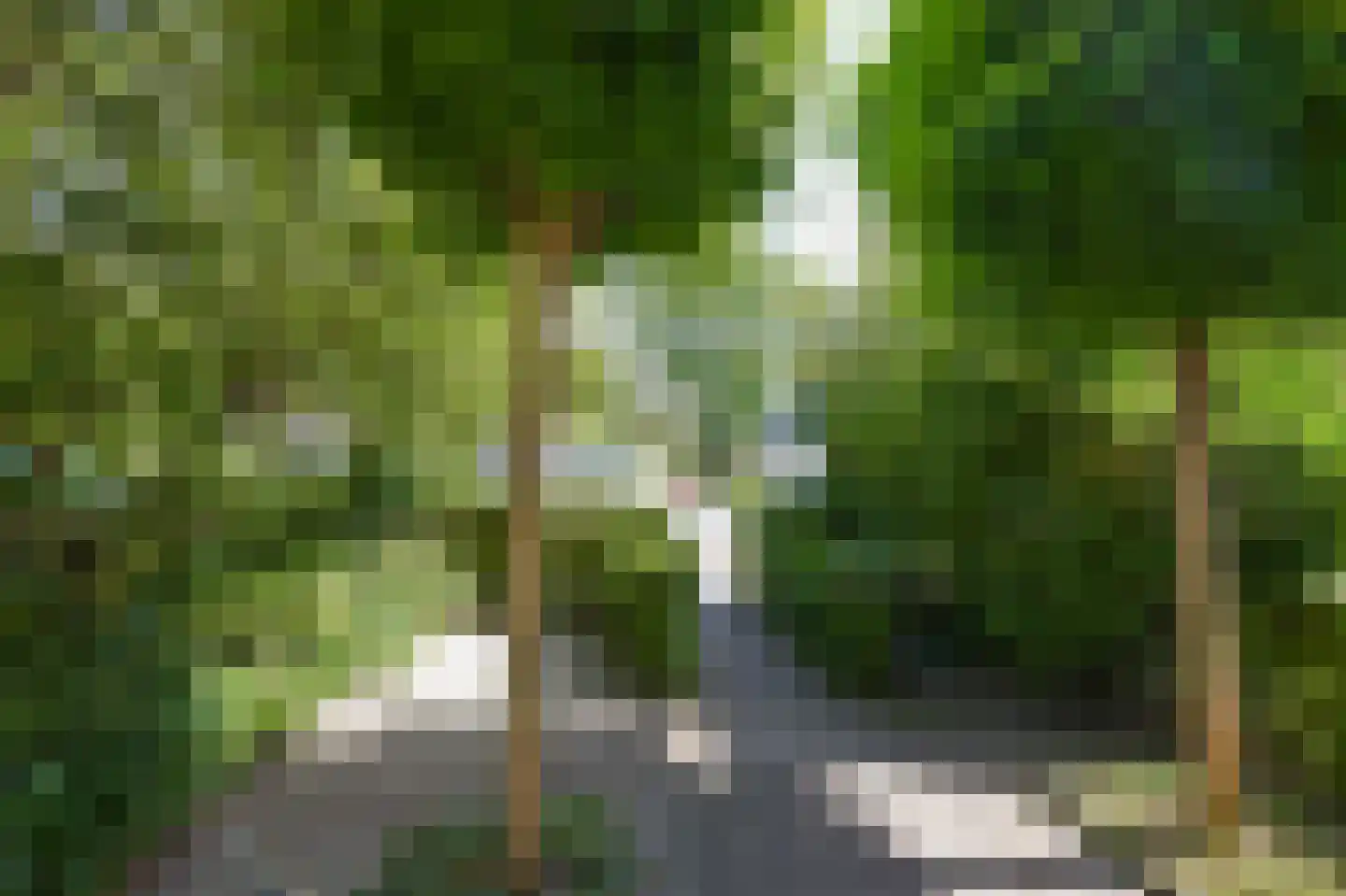 Dorpsstraat 798 Assendelft thumbnail 7