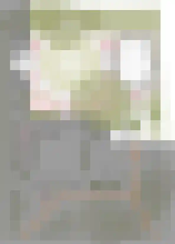 Dorpsstraat 8 A Lunteren thumbnail 4