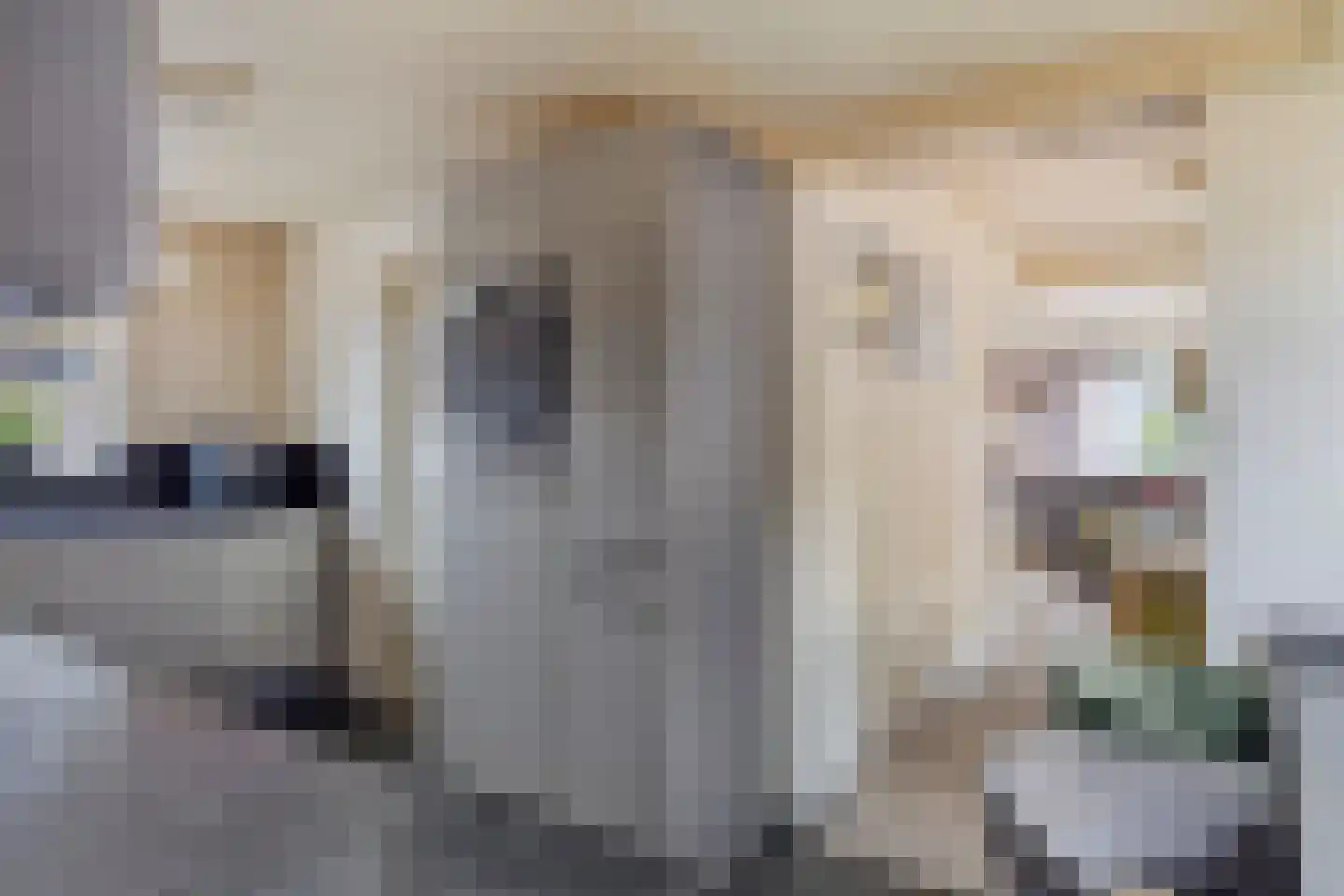 Dorpsstraat 8 Elim thumbnail 10