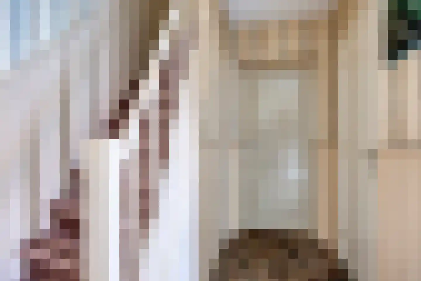 Dorpsstraat 8 Elim thumbnail 15