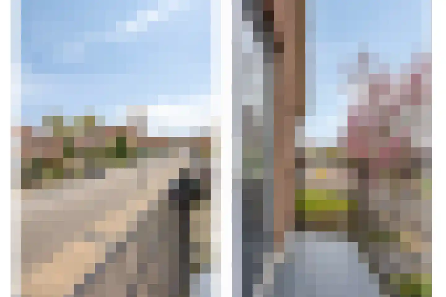 Dorpsstraat 8 Elim thumbnail 20