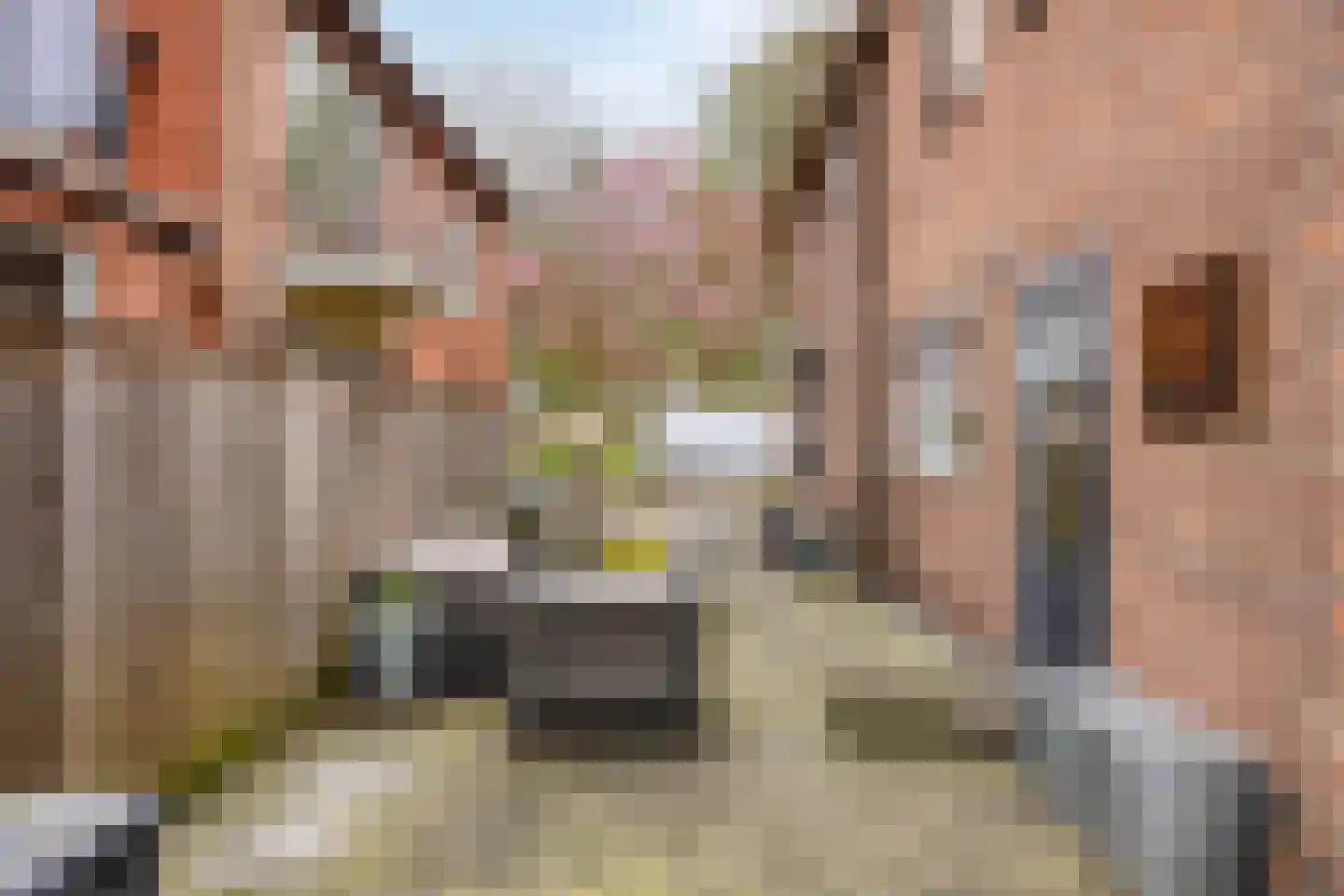 Dorpsstraat 8 Elim thumbnail 28
