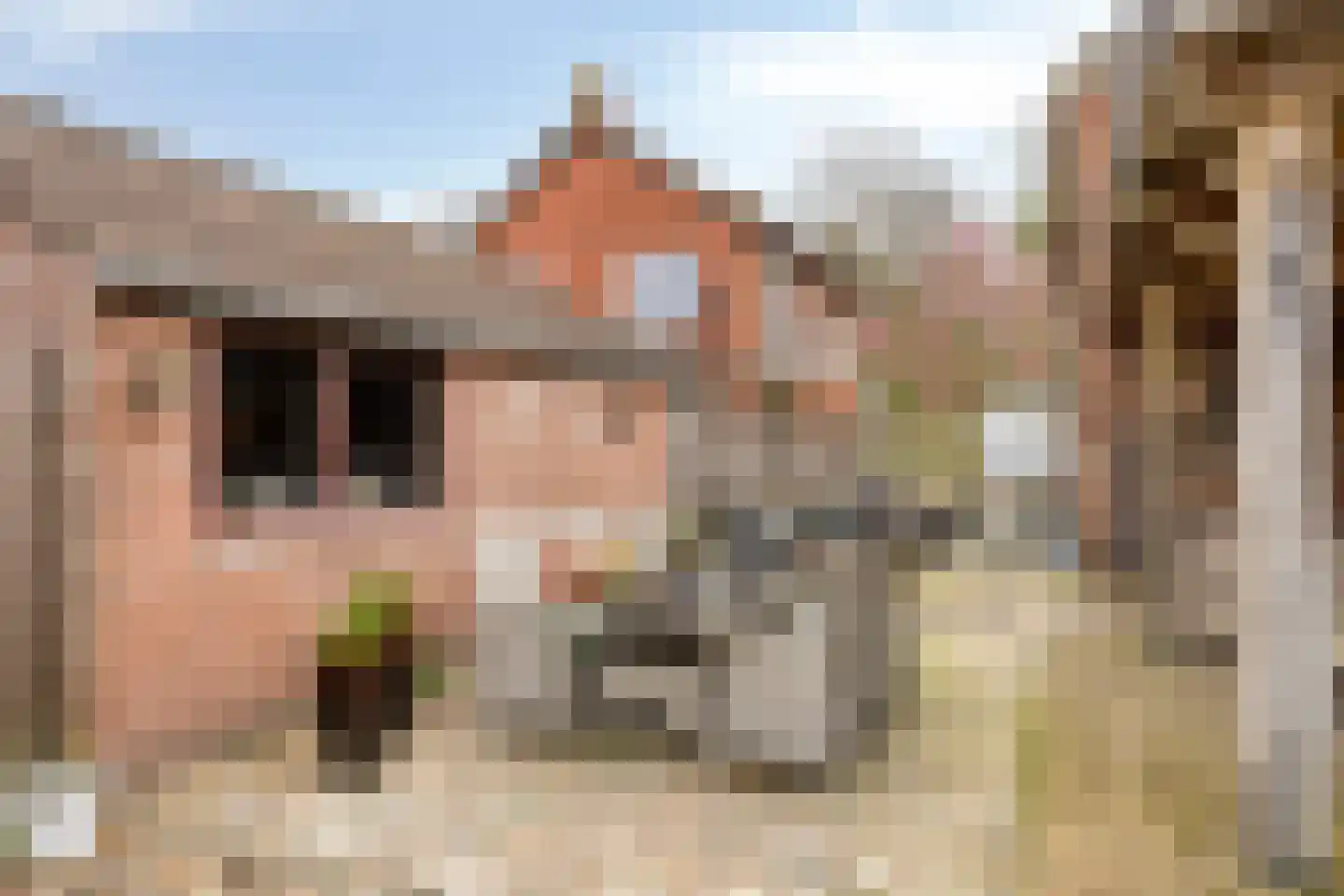 Dorpsstraat 8 Elim thumbnail 29