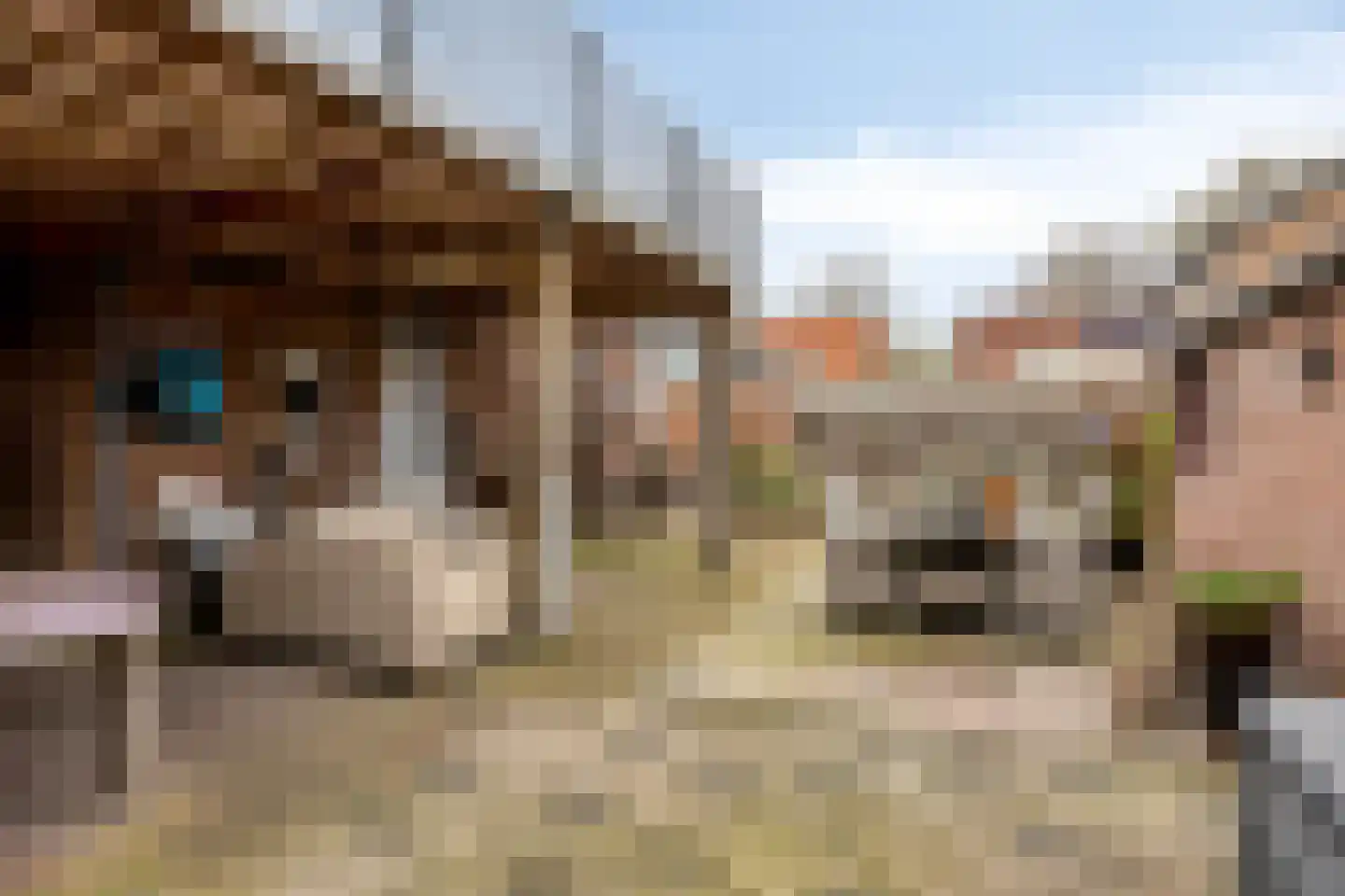 Dorpsstraat 8 Elim thumbnail 30