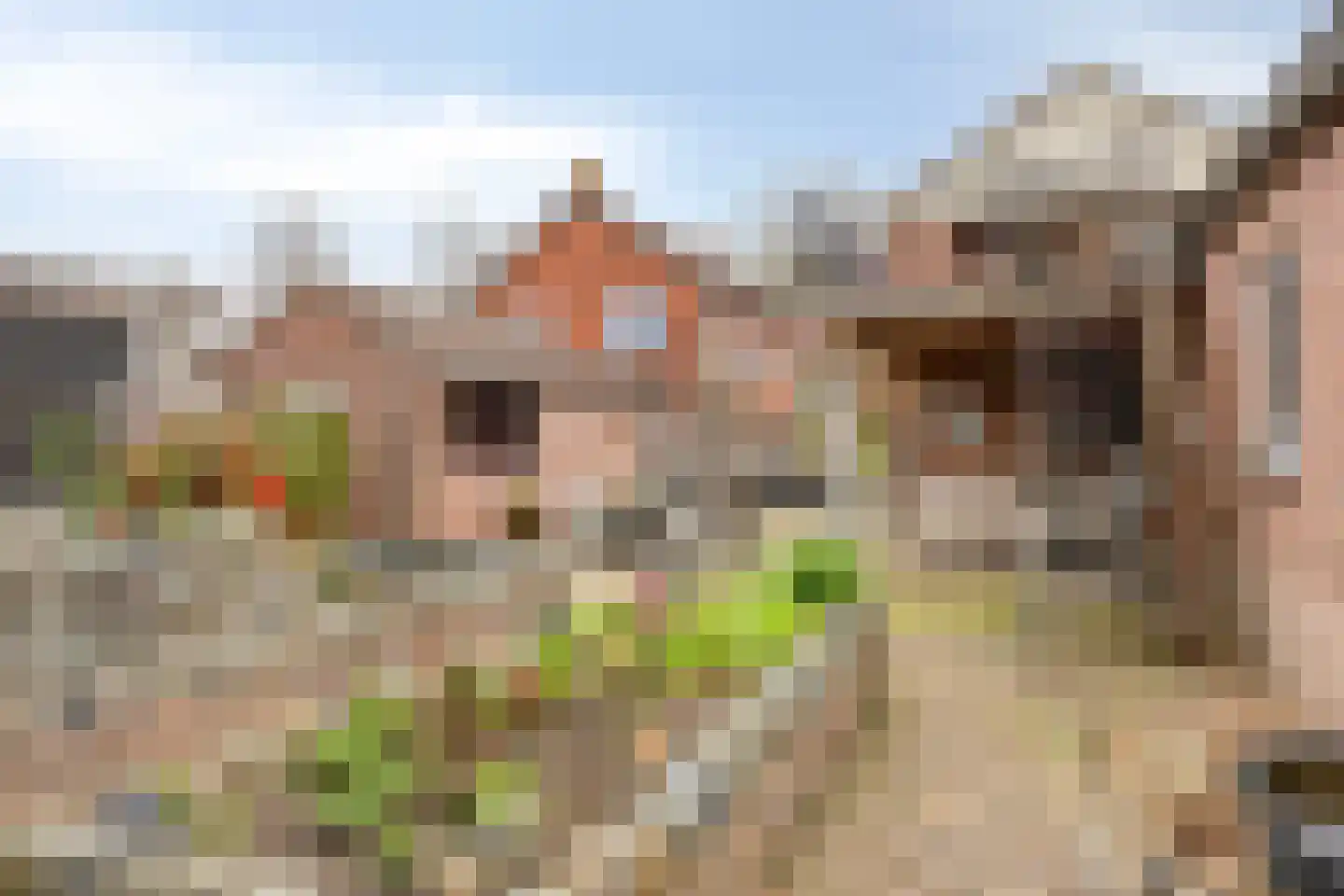 Dorpsstraat 8 Elim thumbnail 31