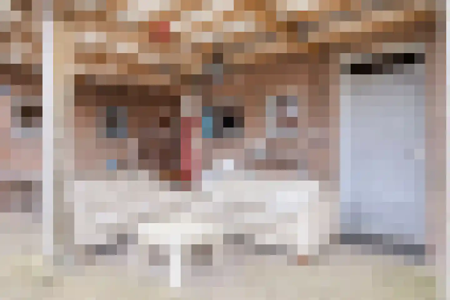 Dorpsstraat 8 Elim thumbnail 32