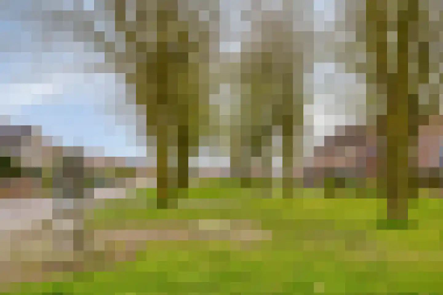 Dorpsstraat 8 Elim thumbnail 37