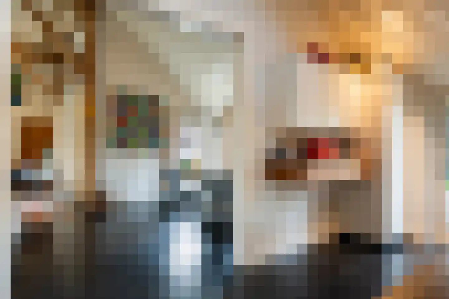 Dorpsstraat 8 Gees thumbnail 11