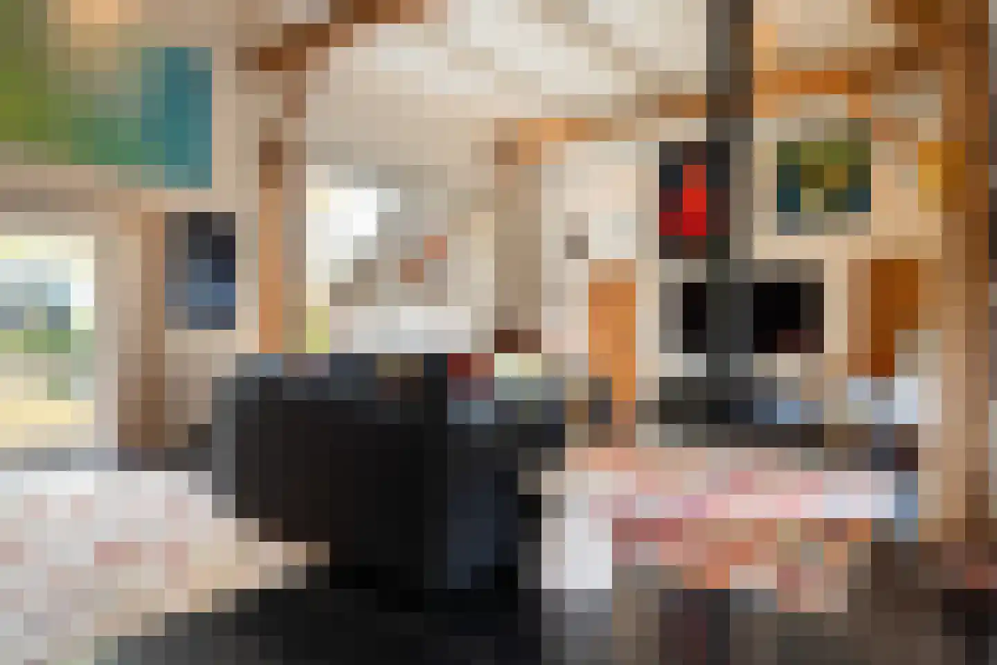 Dorpsstraat 8 Gees thumbnail 12