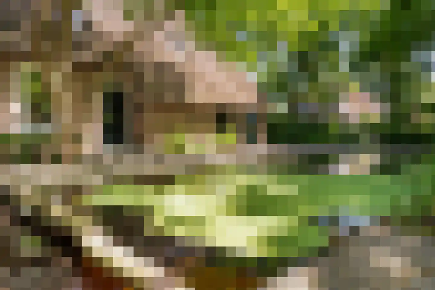 Dorpsstraat 8 Gees thumbnail 34