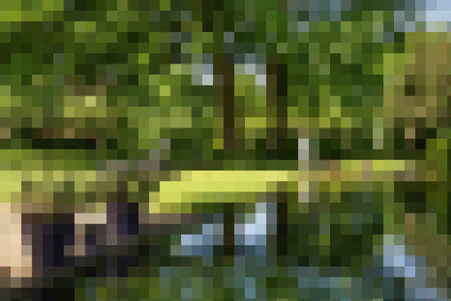 Dorpsstraat 8 Gees thumbnail 35