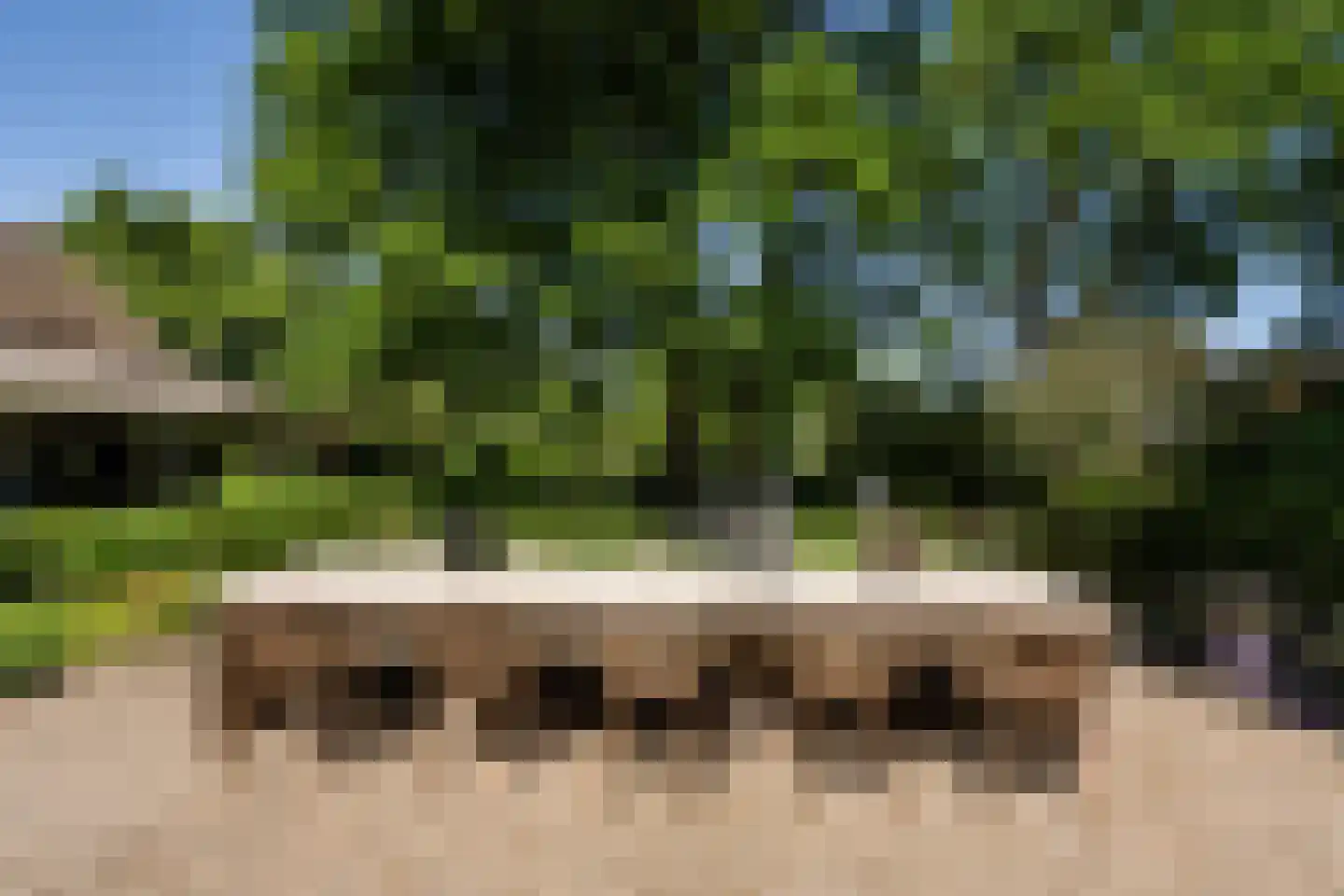 Dorpsstraat 8 Gees thumbnail 38