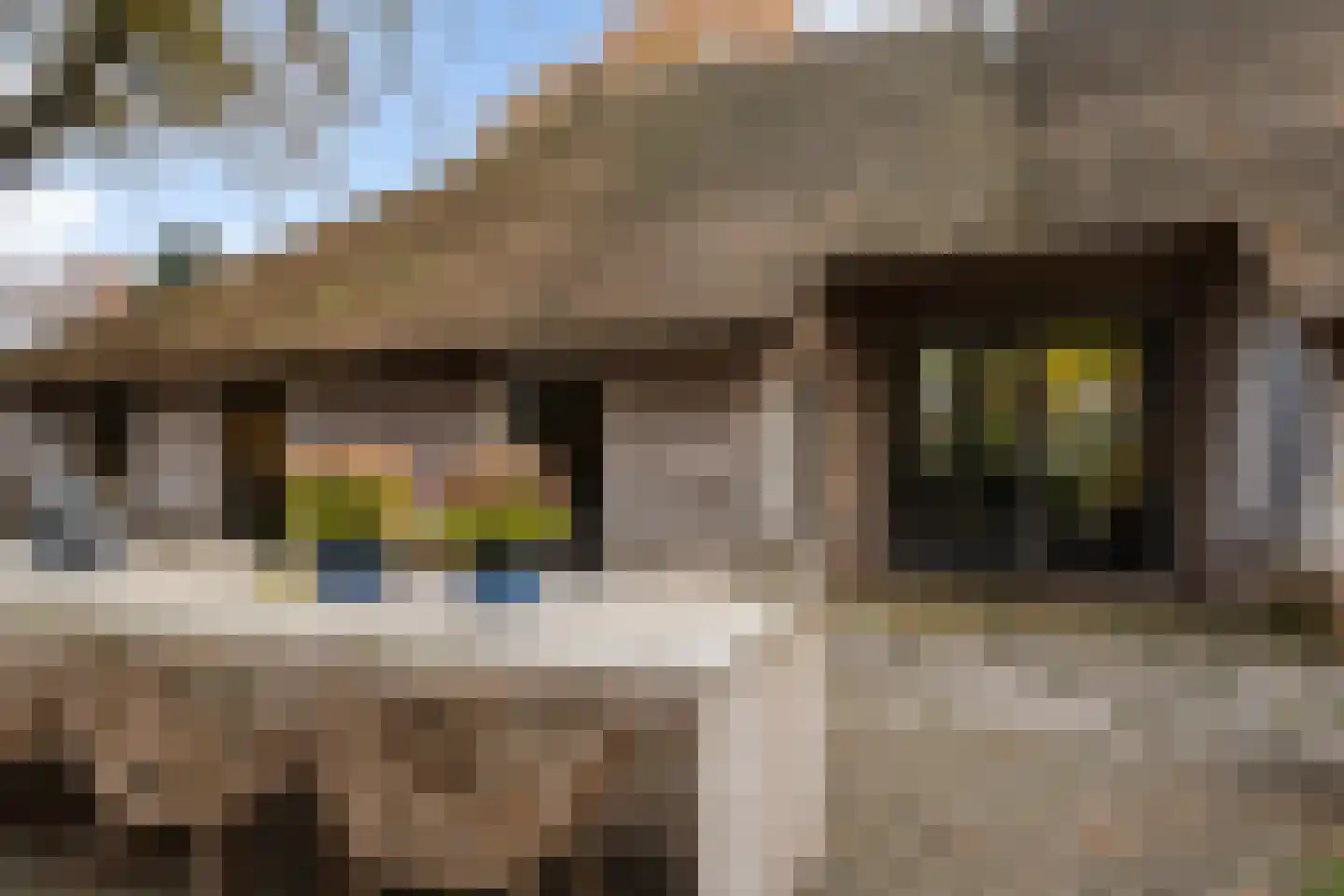 Dorpsstraat 8 Gees thumbnail 38