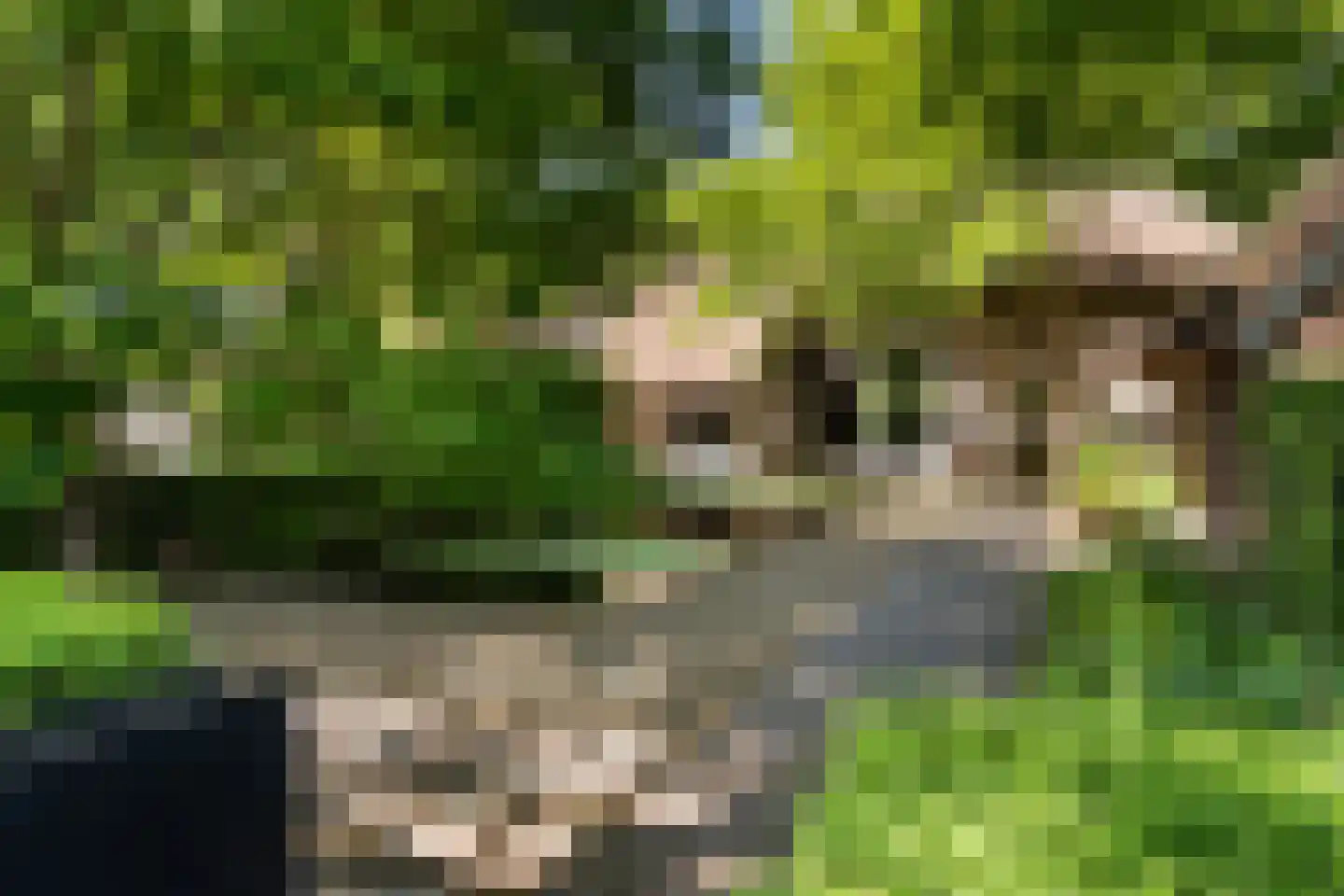 Dorpsstraat 8 Gees thumbnail 39