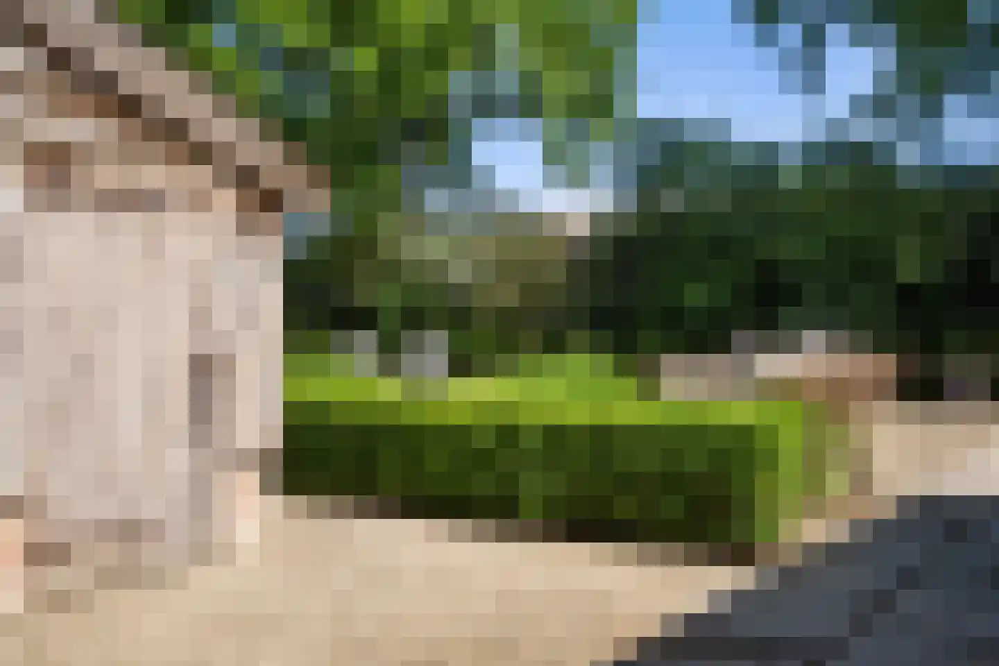Dorpsstraat 8 Gees thumbnail 43