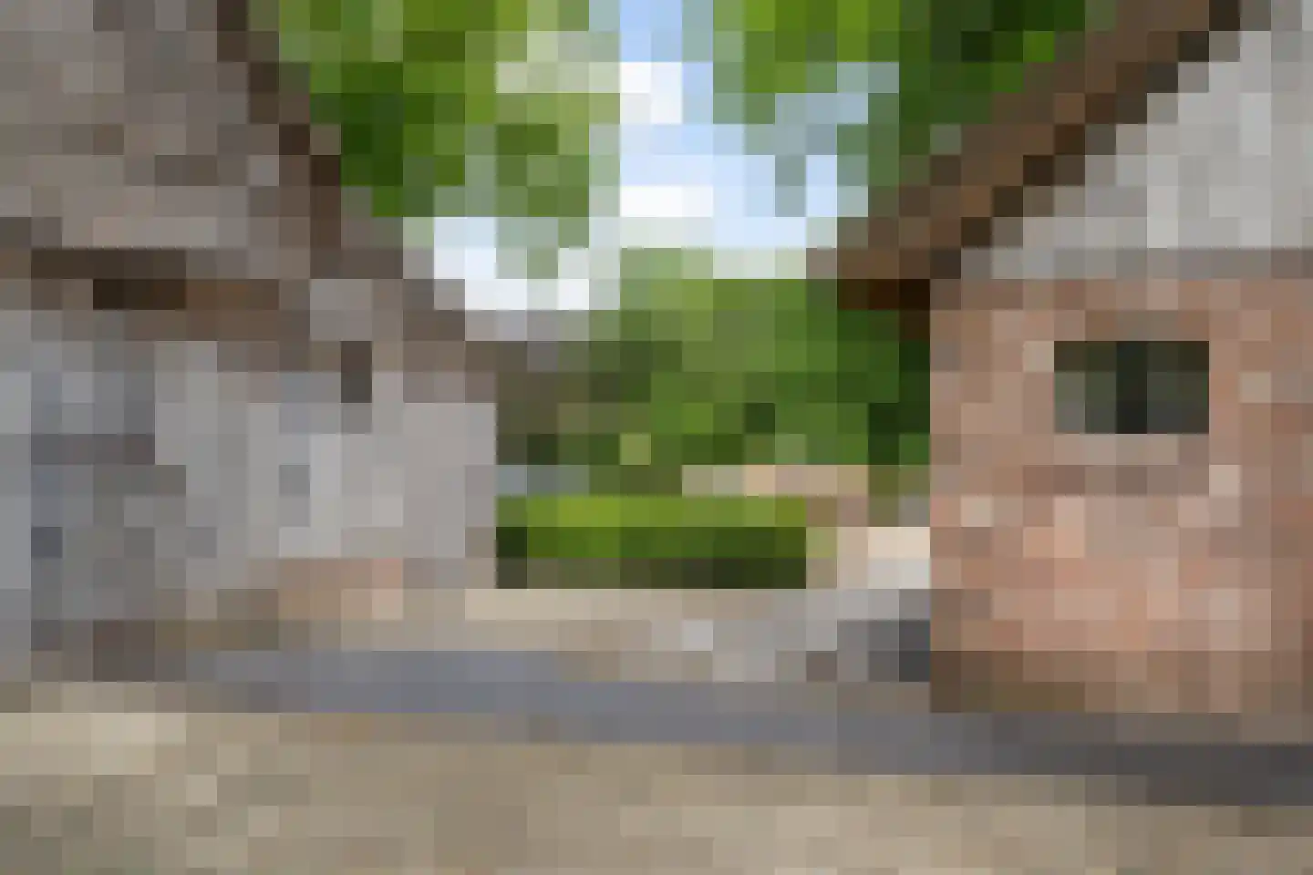 Dorpsstraat 8 Gees thumbnail 44