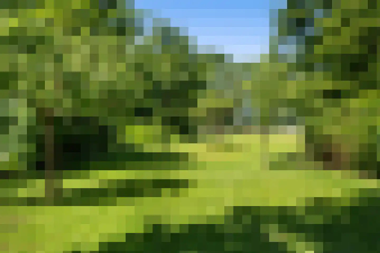 Dorpsstraat 8 Gees thumbnail 50