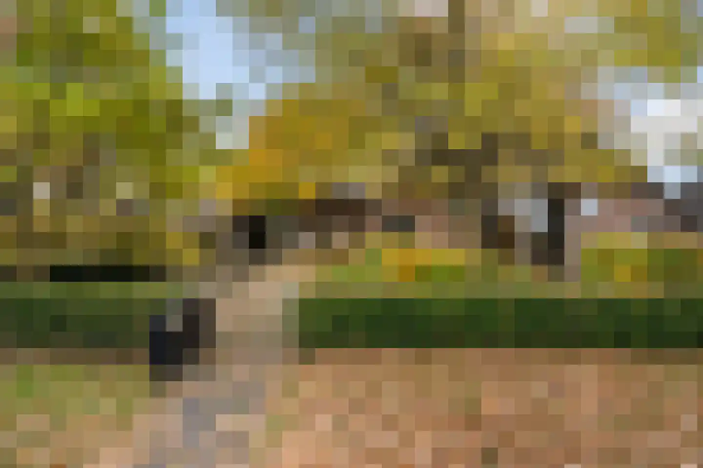 Dorpsstraat 8 Gees thumbnail 51