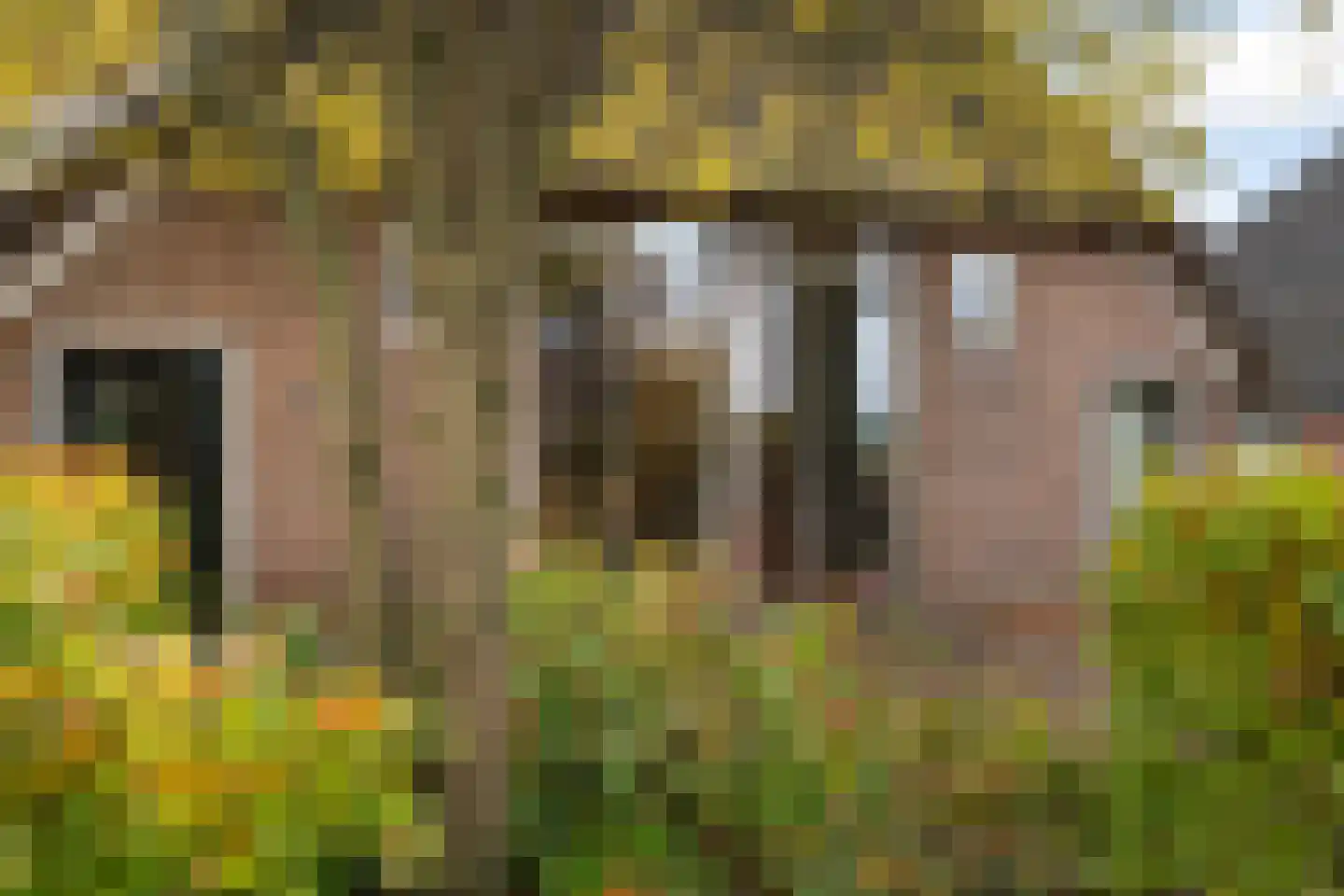 Dorpsstraat 8 Gees thumbnail 53