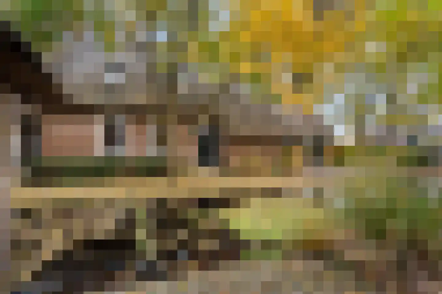 Dorpsstraat 8 Gees thumbnail 57