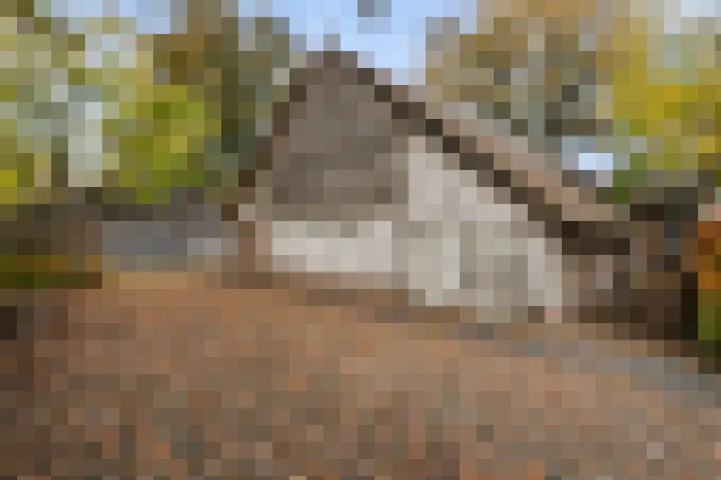 Dorpsstraat 8 Gees thumbnail 62
