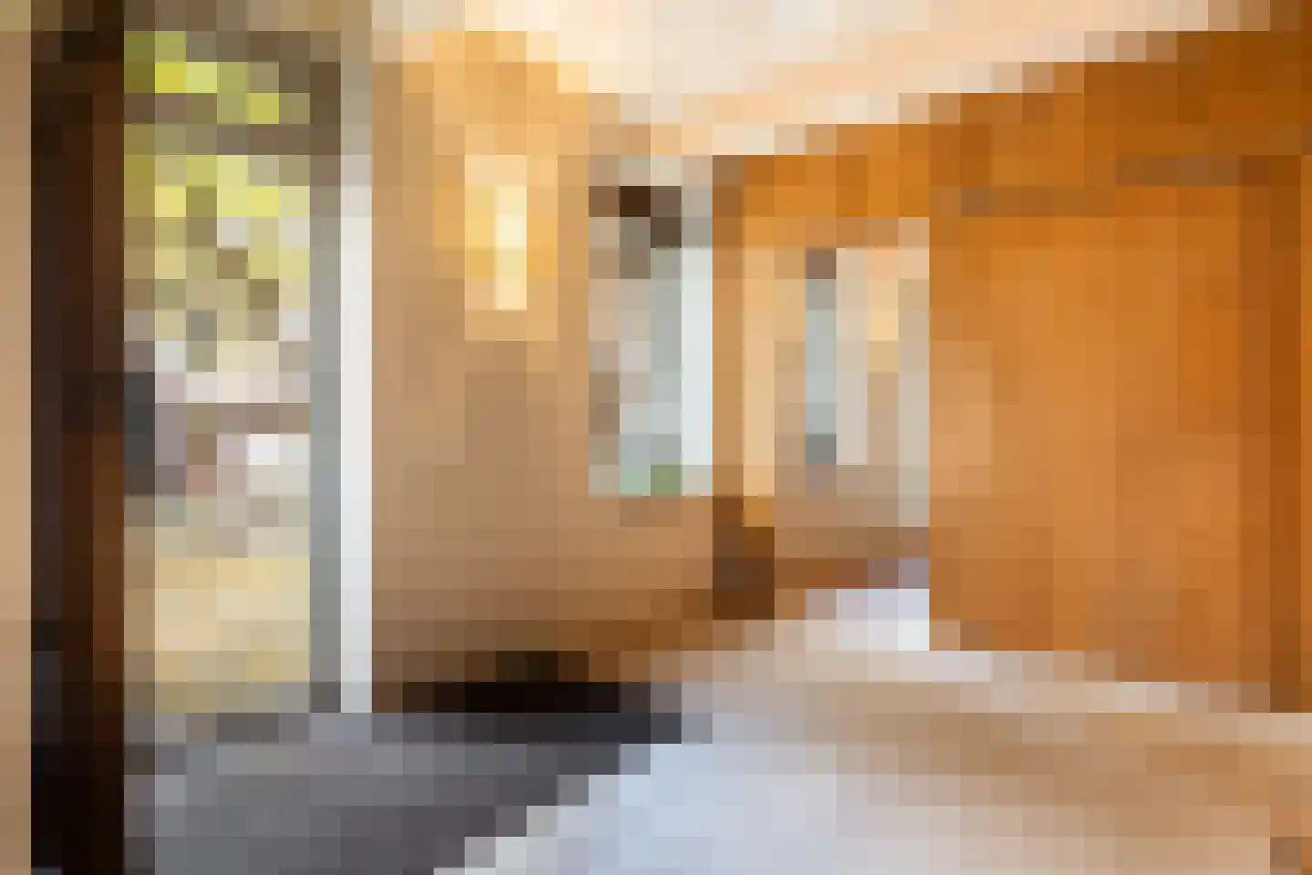 Dorpsstraat 8 Gees thumbnail 7