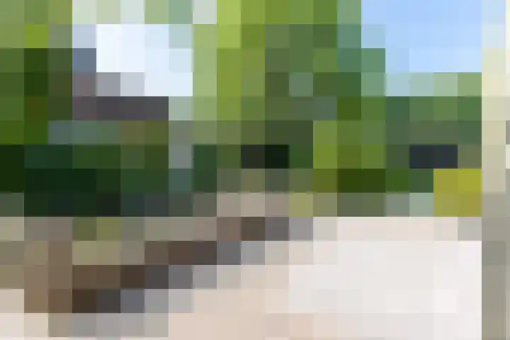 Dorpsstraat 8 Meeuwen thumbnail 31