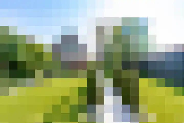 Dorpsstraat 8 Meeuwen thumbnail 6