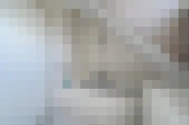 Dorpsstraat 8 Nieuwkoop thumbnail 31