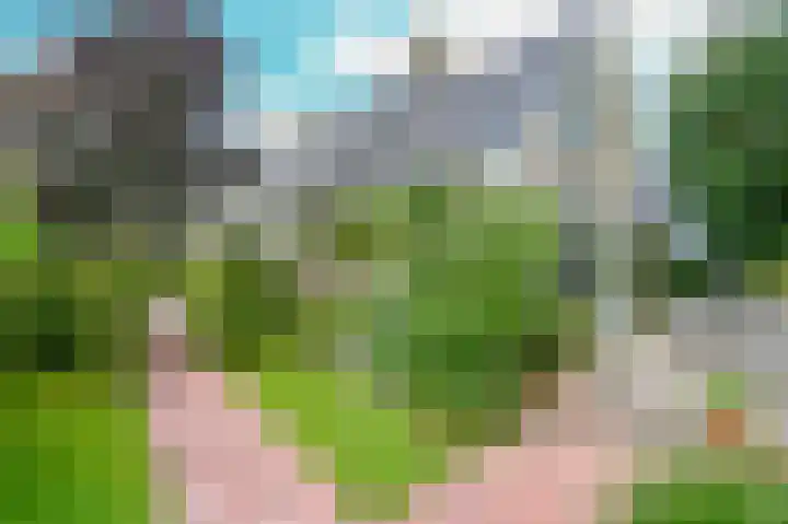 Dorpsstraat 8 Nieuwkoop thumbnail 38
