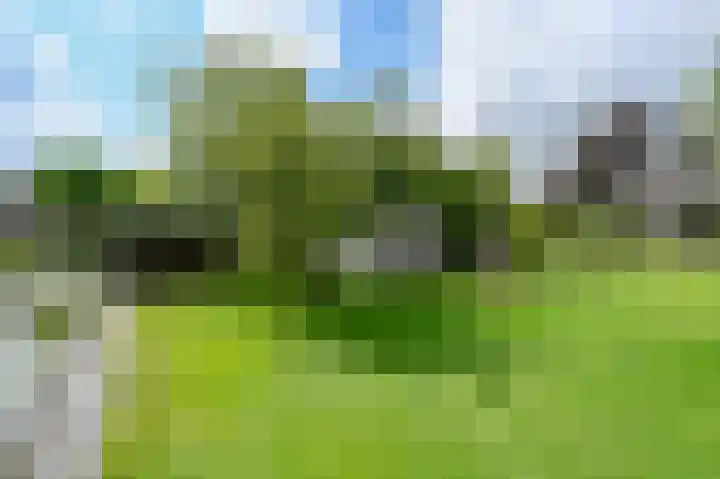 Dorpsstraat 8 Nieuwkoop thumbnail 42