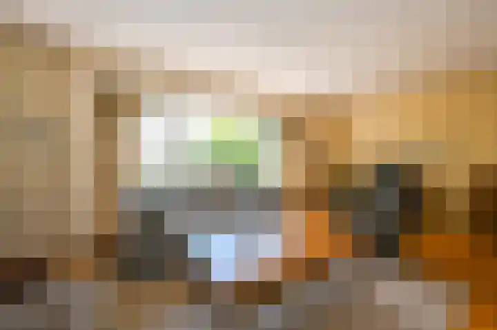 Dorpsstraat 8 Nieuwkoop thumbnail 6