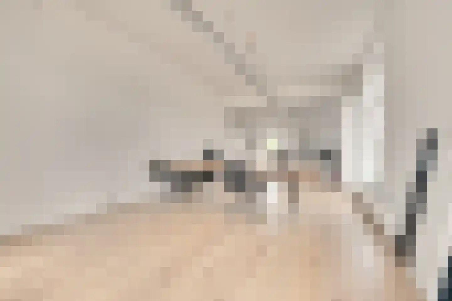 Dorpsstraat 8 Schoondijke thumbnail 10