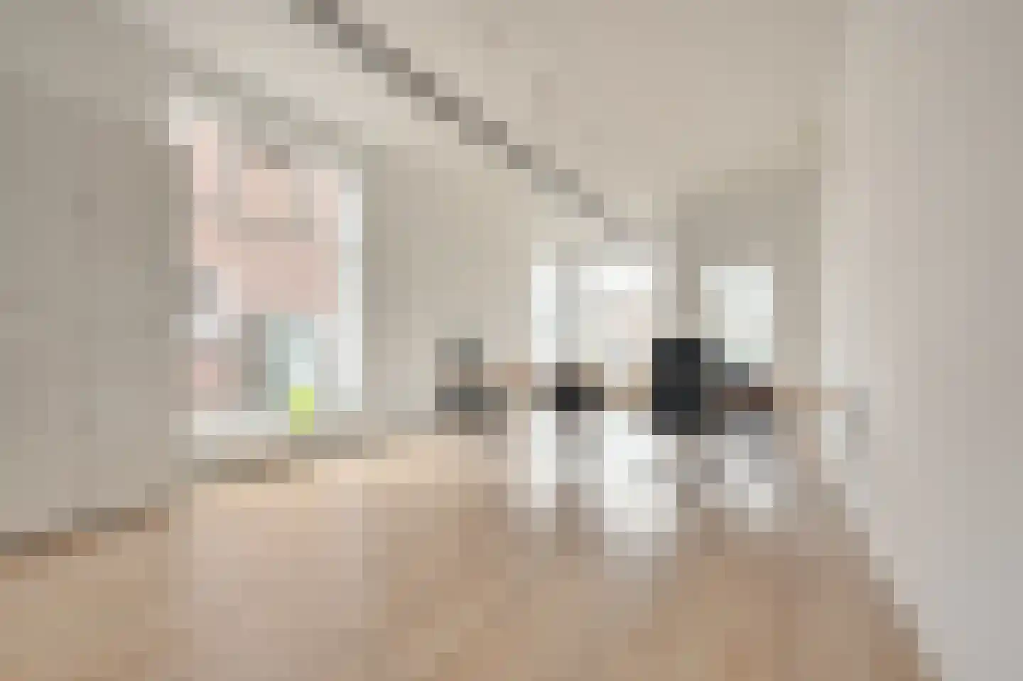 Dorpsstraat 8 Schoondijke thumbnail 11