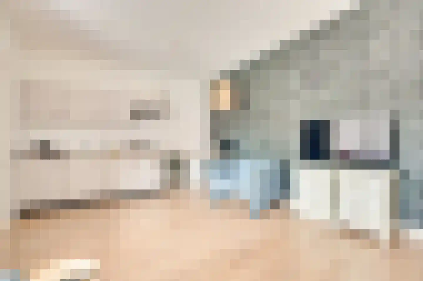 Dorpsstraat 8 Schoondijke thumbnail 16