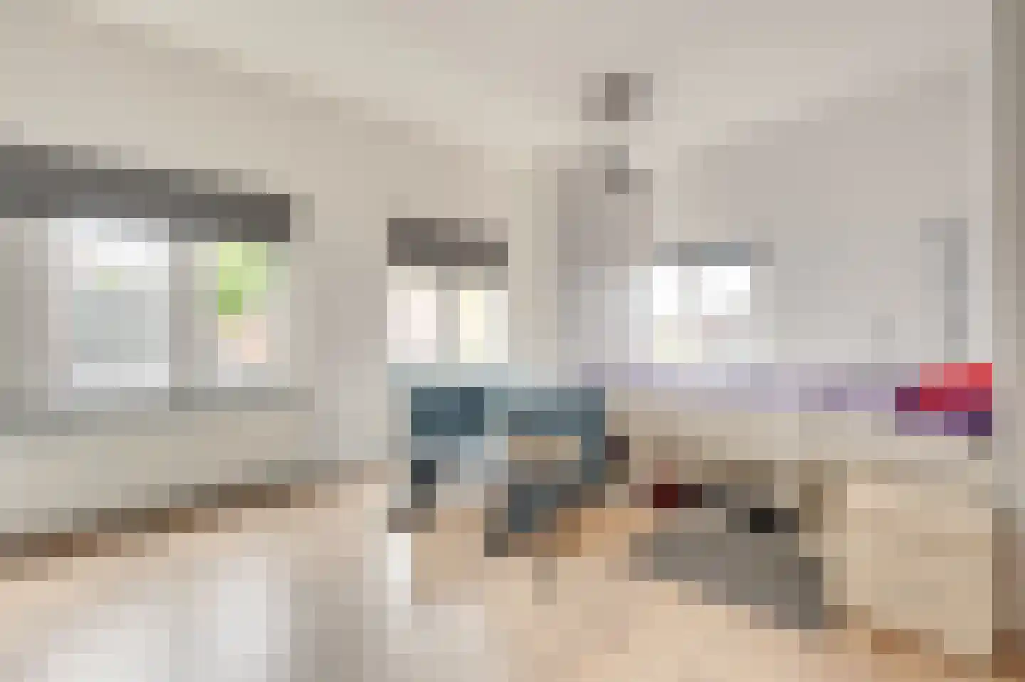 Dorpsstraat 8 Schoondijke thumbnail 18