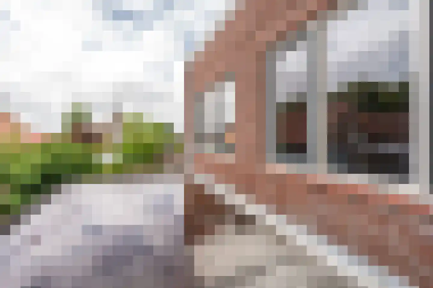 Dorpsstraat 8 Schoondijke thumbnail 20