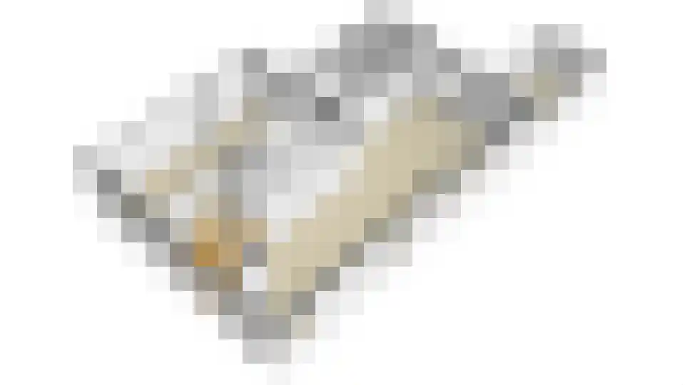 Dorpsstraat 8 Schoondijke thumbnail 23